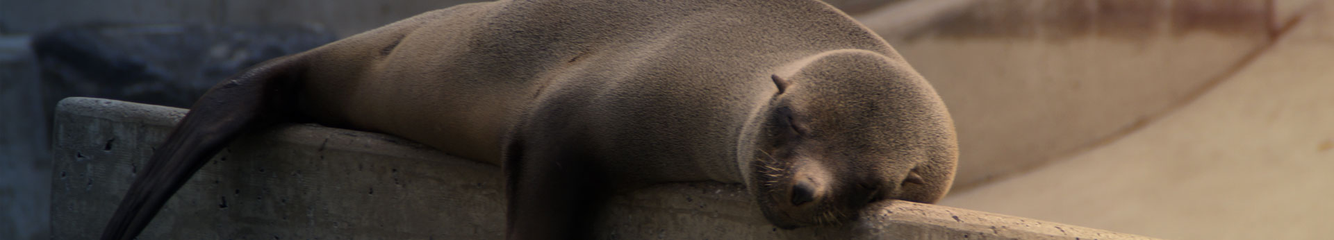 Nachhaltig und energiesparend